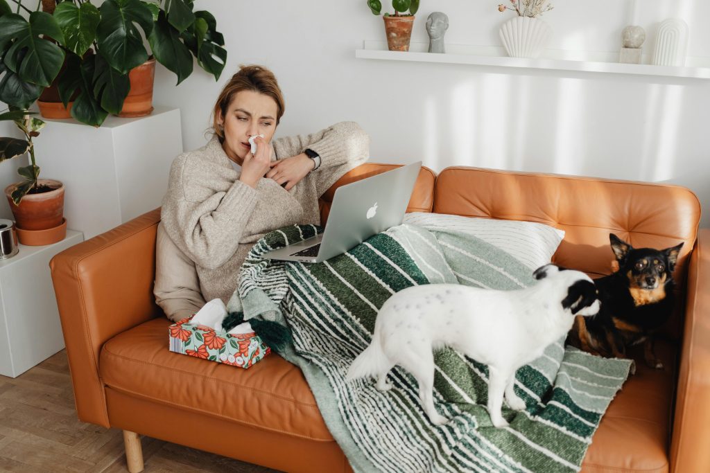 Person blowing their nose while sitting on the couch with a laptop